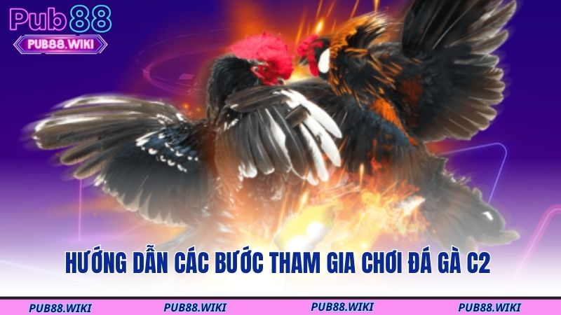 Hướng dẫn các bước tham gia chơi đá gà C2 