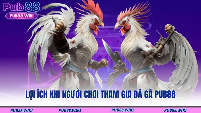 Lợi ích khi người chơi tham gia đá gà PUB88