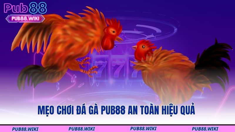 Mẹo chơi đá gà PUB88 an toàn hiệu quả 