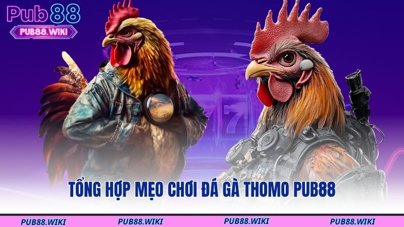 Tổng hợp mẹo chơi đá gà Thomo PUB88 